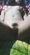 Foto privada de Selene97