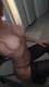 Foto privada de DamaRossa77